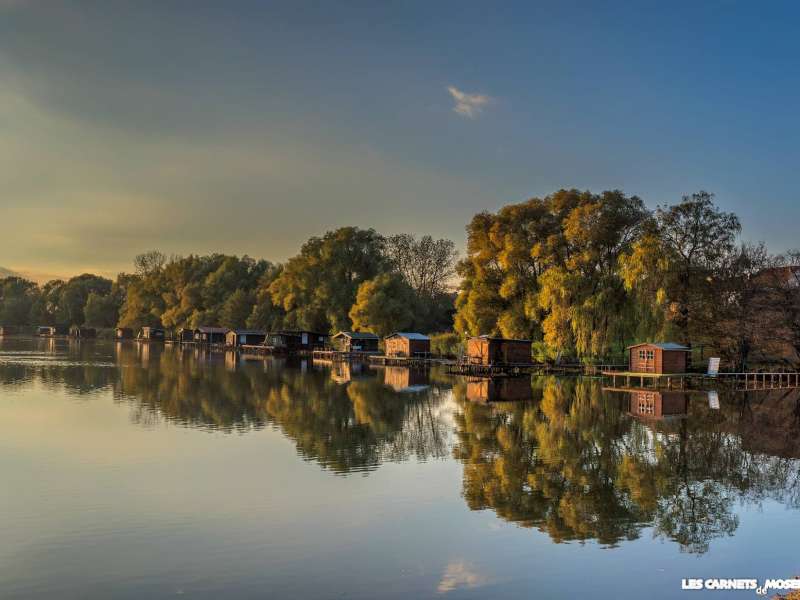 Les carnets de Moselle  Circuit des étangs du Pays de Forbach