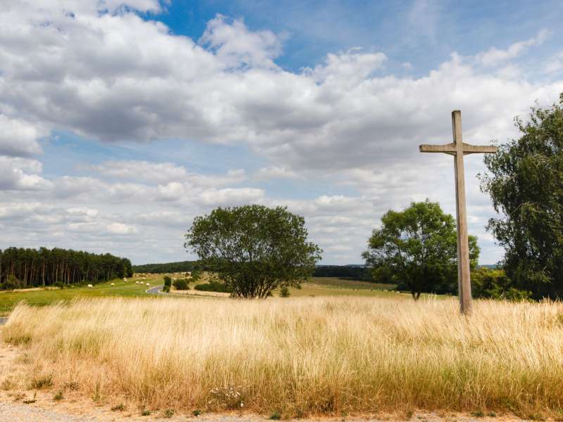 CTurpin - Sarreguemines Tourisme  Le Lion Couronné