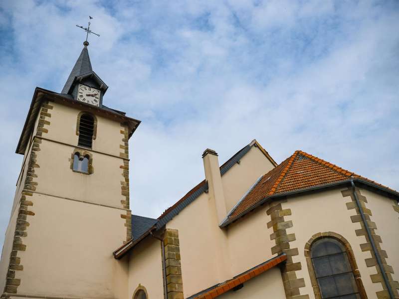 CTurpin_SarregueminesTourisme  Colchiques et Marais