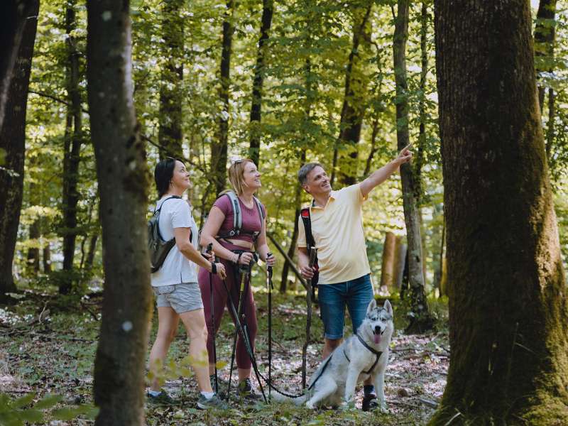 Alex Fabing Production Circuit du Lavoir