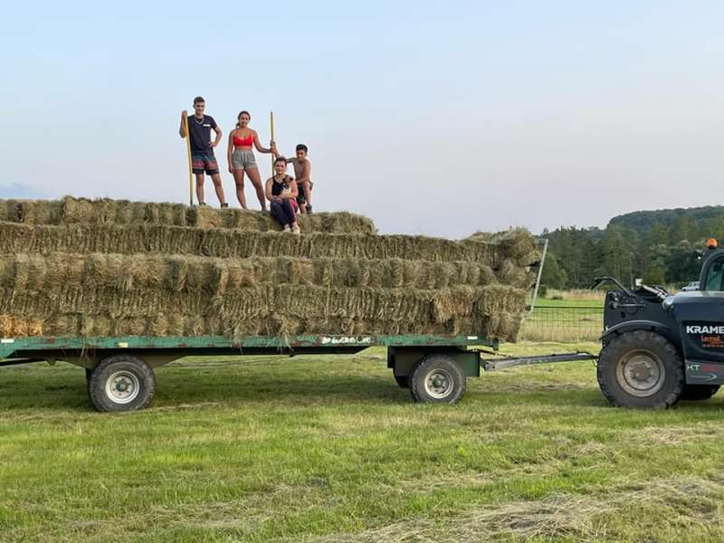 Ferme du Moulin Ferme du moulin