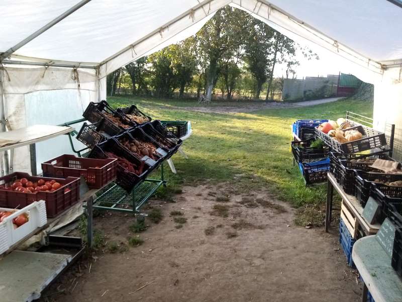 Sébastien Jacob Jardins et saveurs