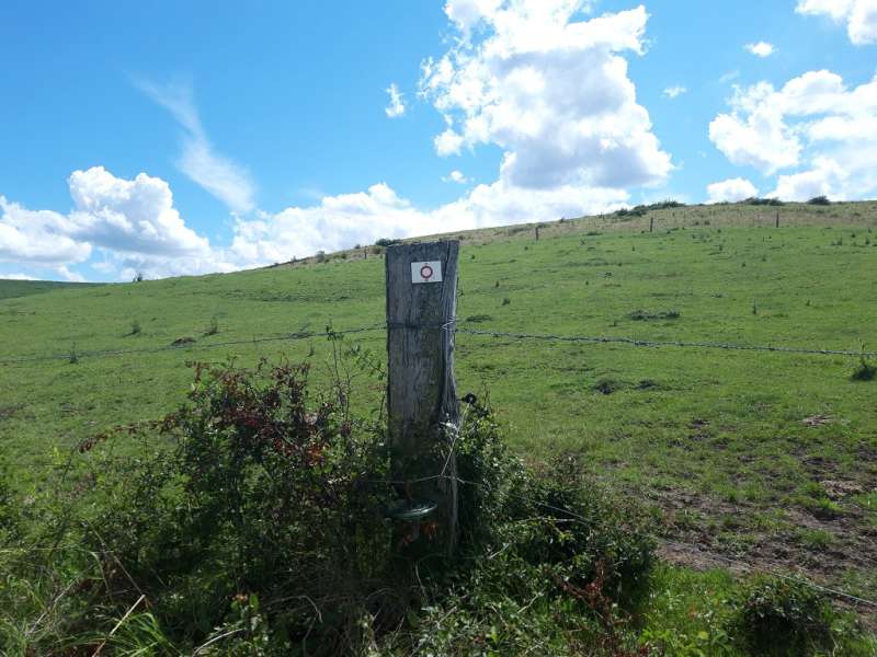 CIRCUITS DU CLUB VOSGIEN SECTION DE SAINT-AVOLD