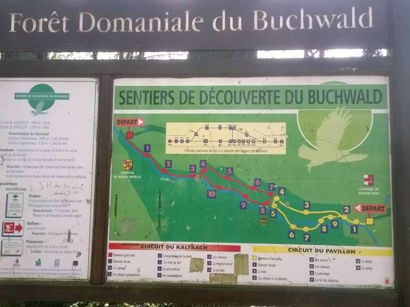 Rando Moselle  Sentier d'interprétation du Buchwald