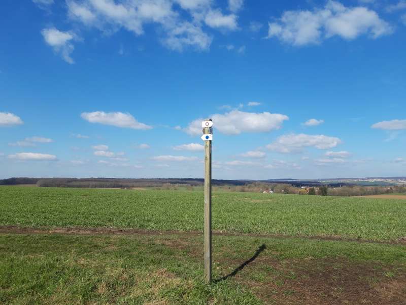 OT Saint-Avold Coeur de Moselle  Circuit La voie romaine