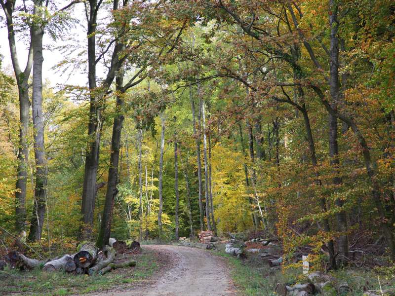 Autrement Vu Circuits pédestres à Woelfling-les-Sarreguemines