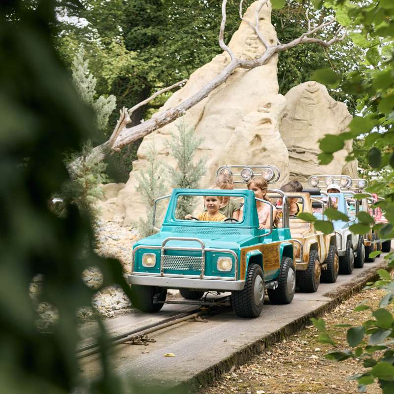 Clap&Co Walygator Grand Est