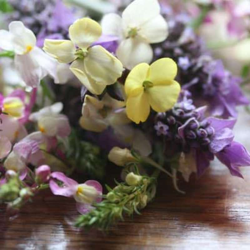 Lavandou Fleurs Lavandou Fleurs