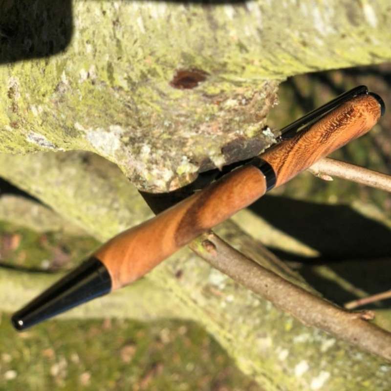 Le stylotier Le Stylotier