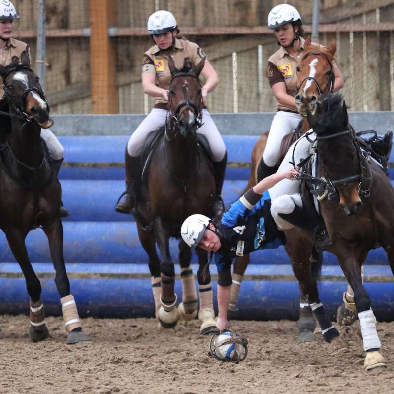 Yutz Equitation Centre équestre pole hippique de Yutz