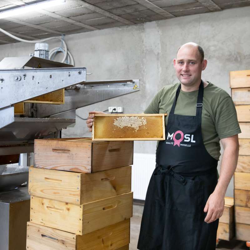 Les photos de Véro  Le rucher d'olivier