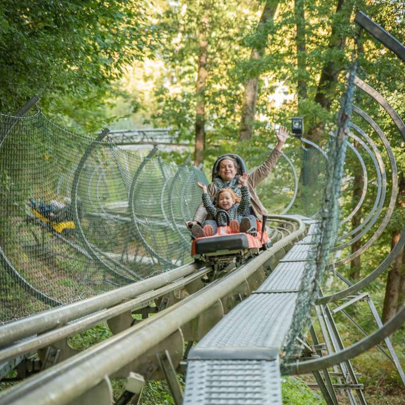 Patrice BUCHER Luge alpine coaster