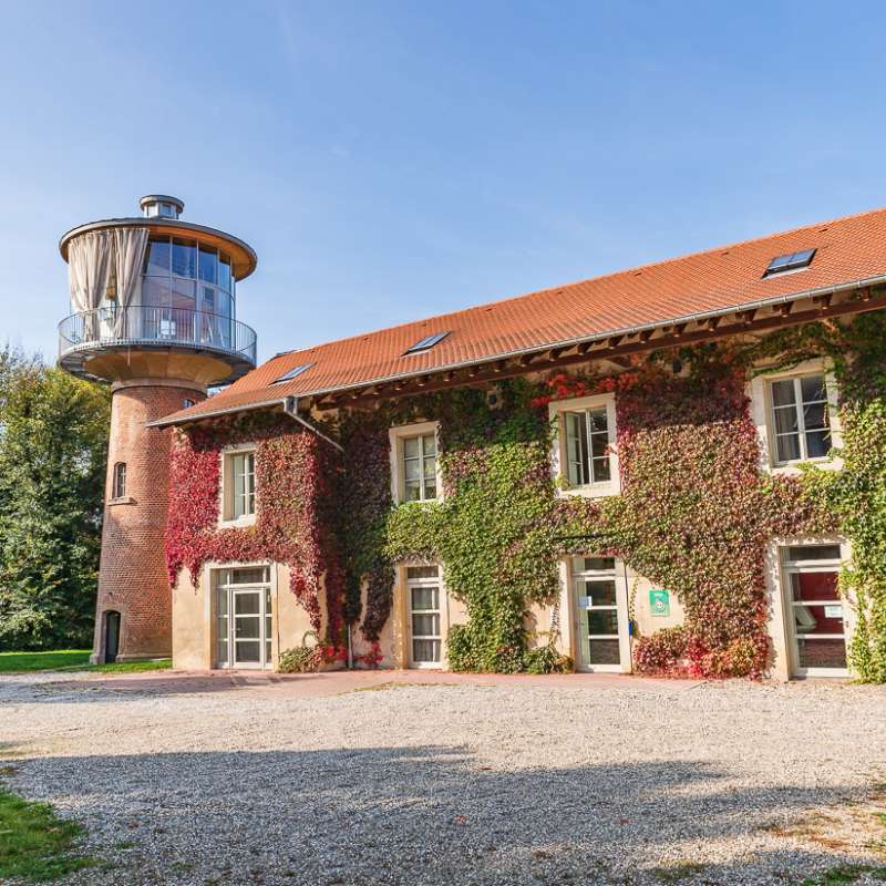 P Bucher - OT Pays de Phalsbourg  Les Gîtes du Château - Suzel