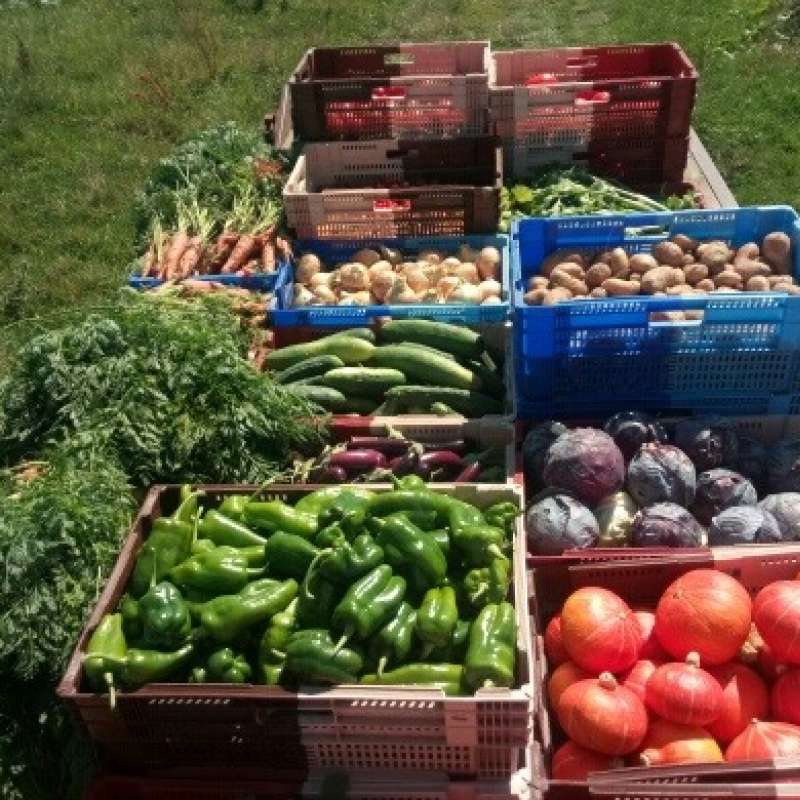 GAEC DIEUDONNE Dieudonné - Frères & Terre