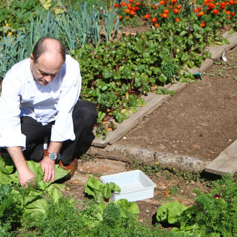 Hôtel des Vosges Hôtel-restaurant des Vosges La Hoube