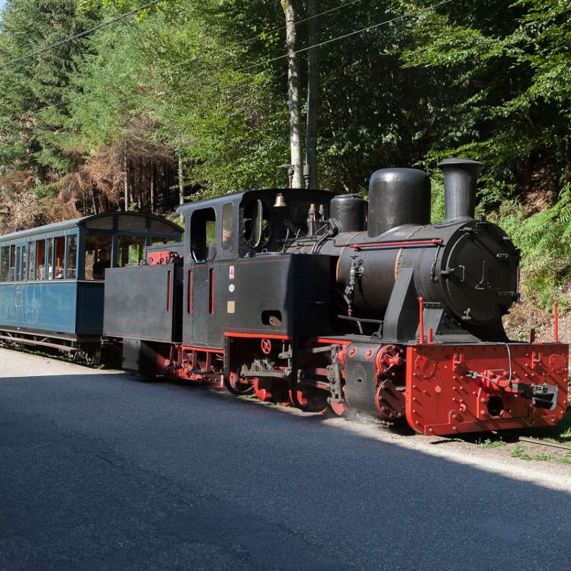 TSMS Chemin de fer forestier