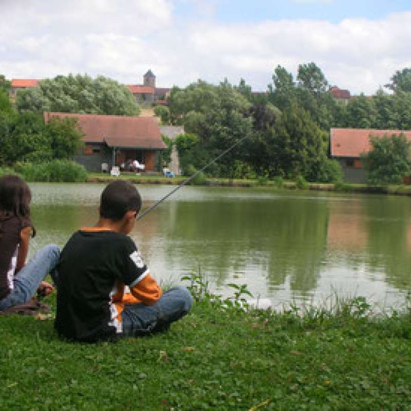 M_Paté  Chalet séquoia