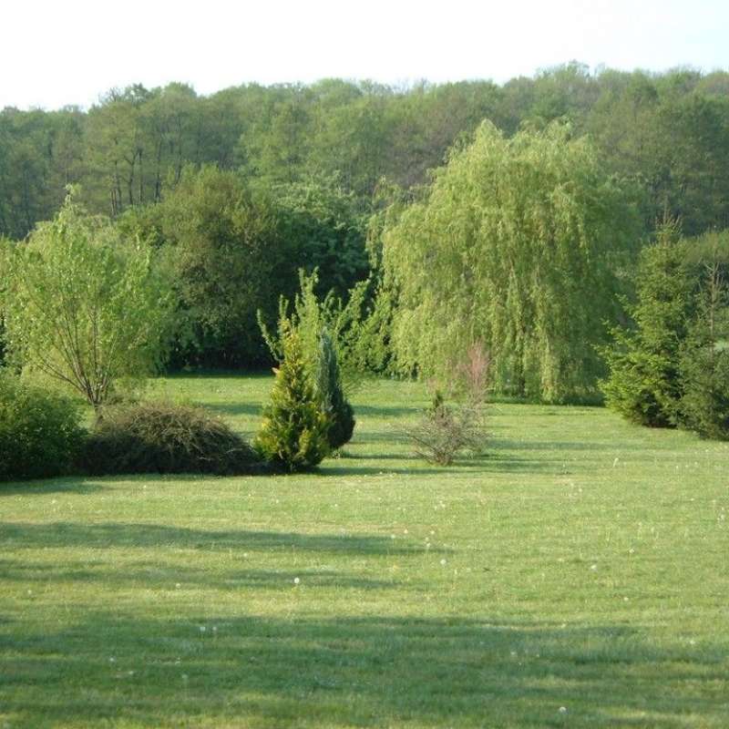 Jacqueline BOUCHER  Meublé de tourisme le Lansquenet