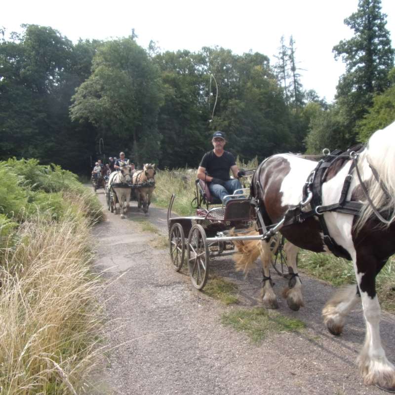 Relais_équestre  Relais équestre