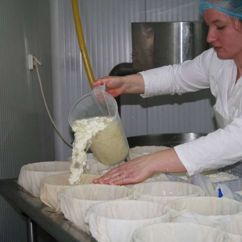 GAEC_Caps  De la ferme aux fromages
