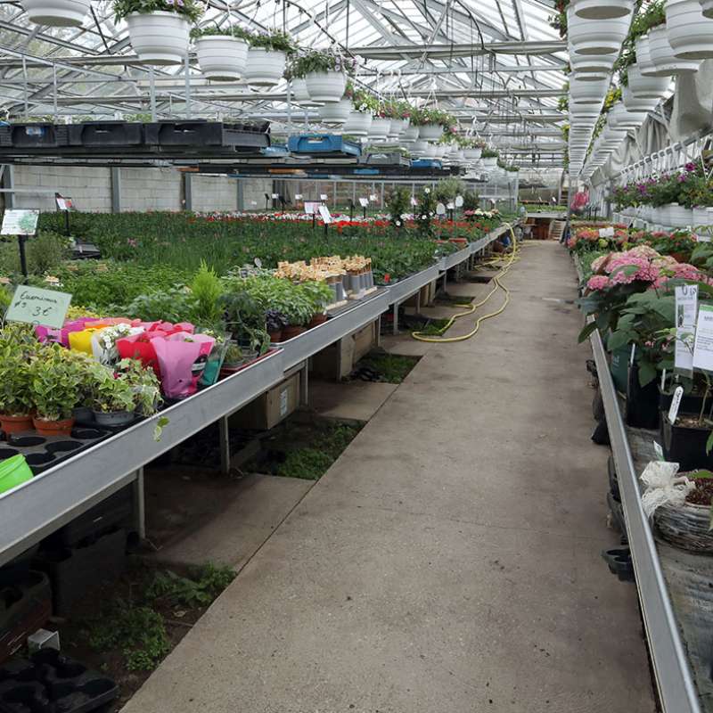 Ombres et lumières  Horticulture litzenburger