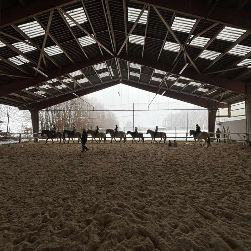 Marine Kauffer Kauffer Équitation