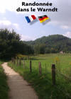 Randonnée dans le Warndt