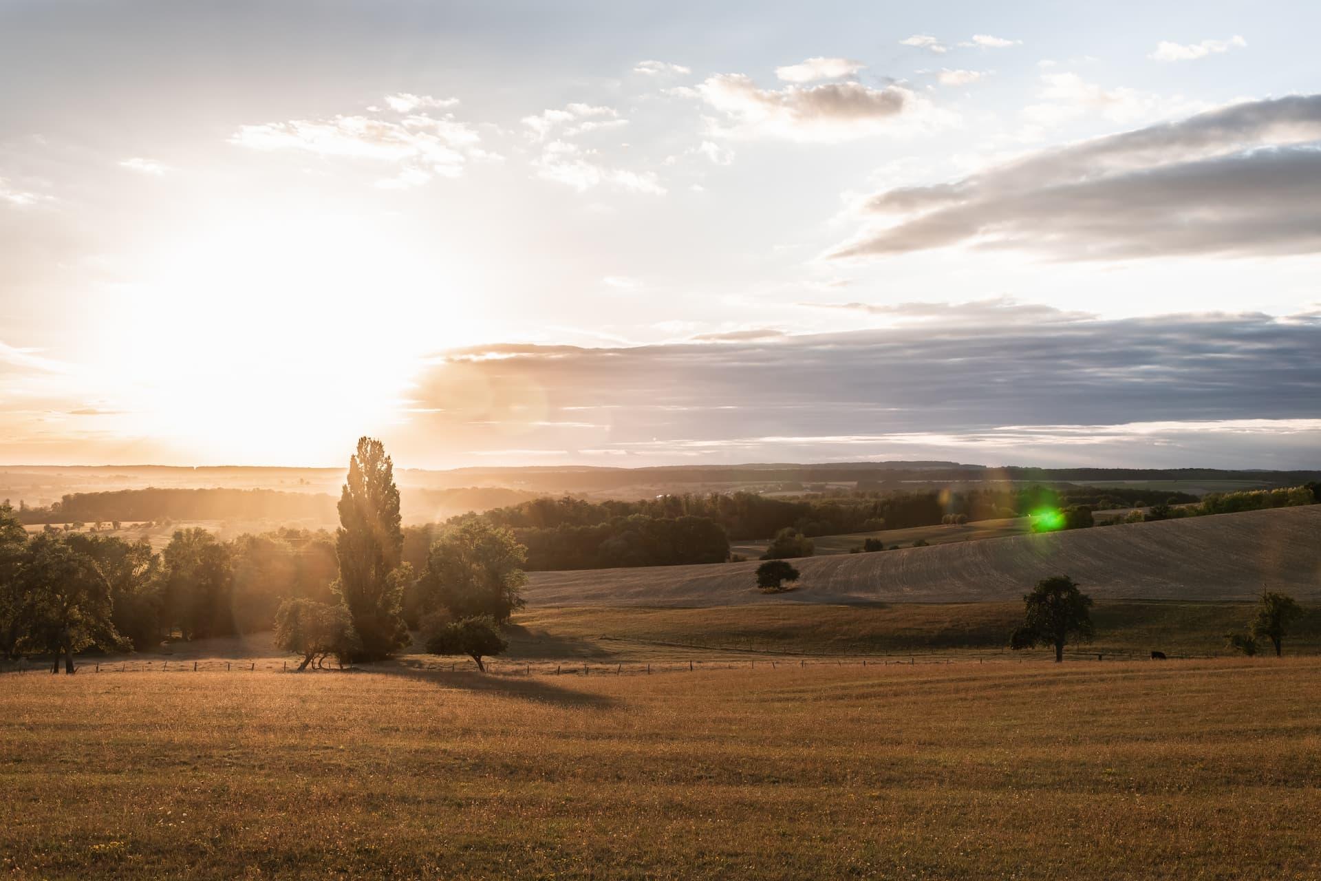 Header HP générique