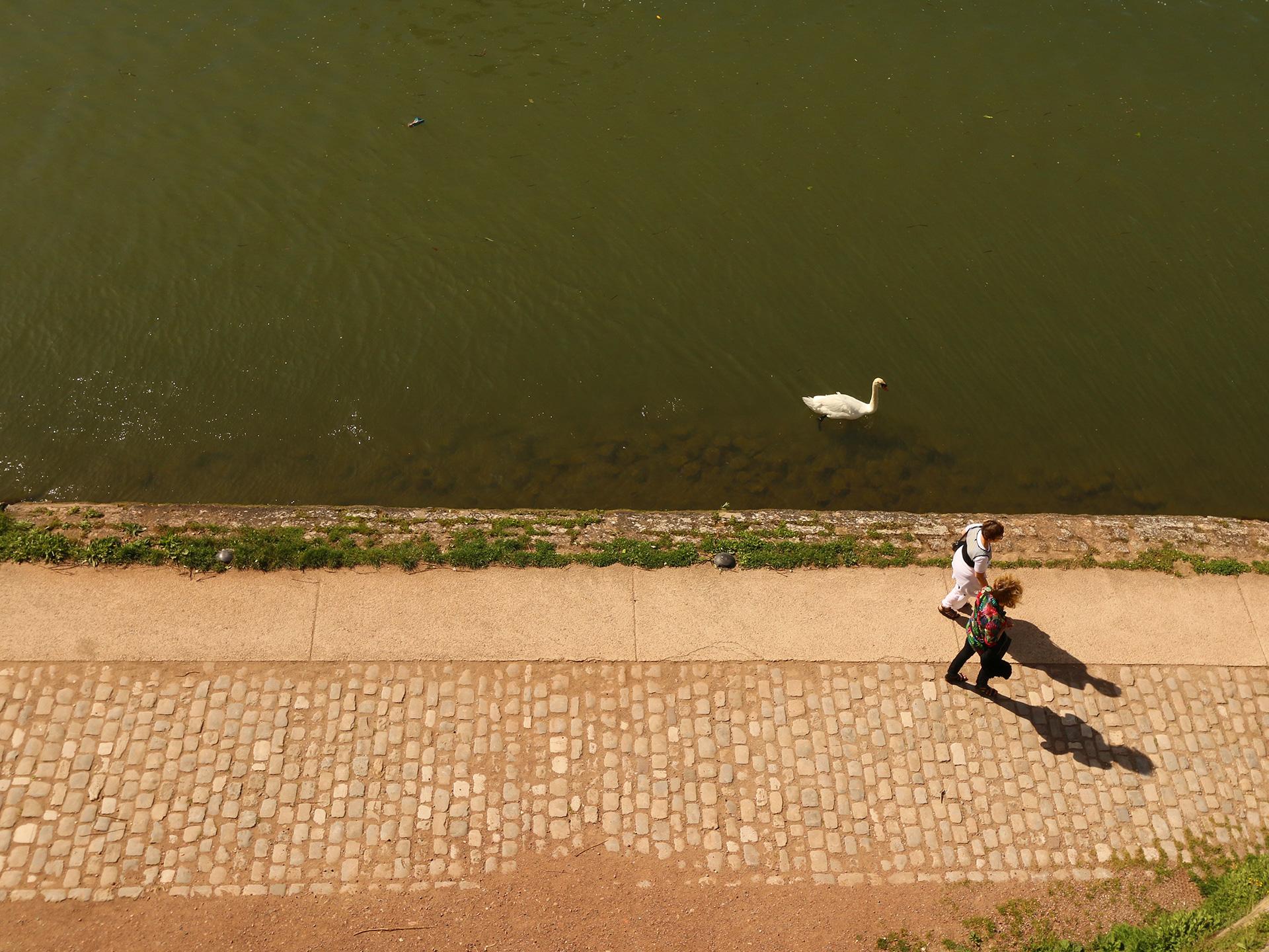 Bord Moselle Metz