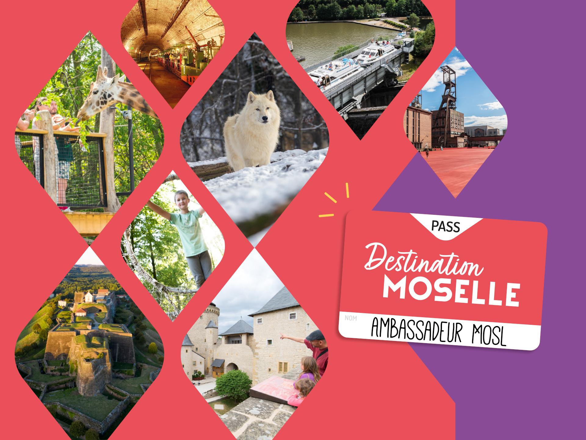 Banner Pass Destination Moselle