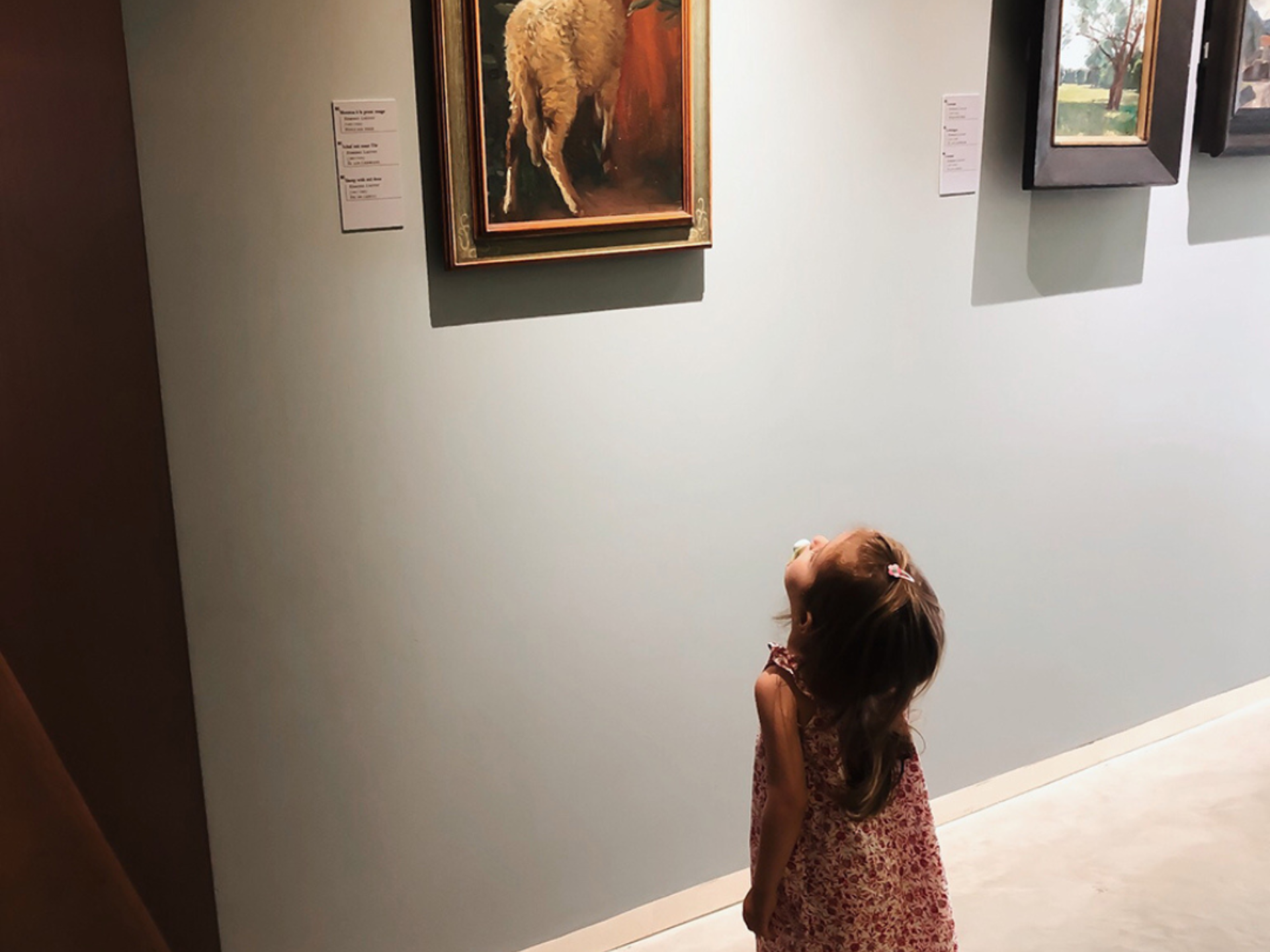 Banner Moselle Culturelle