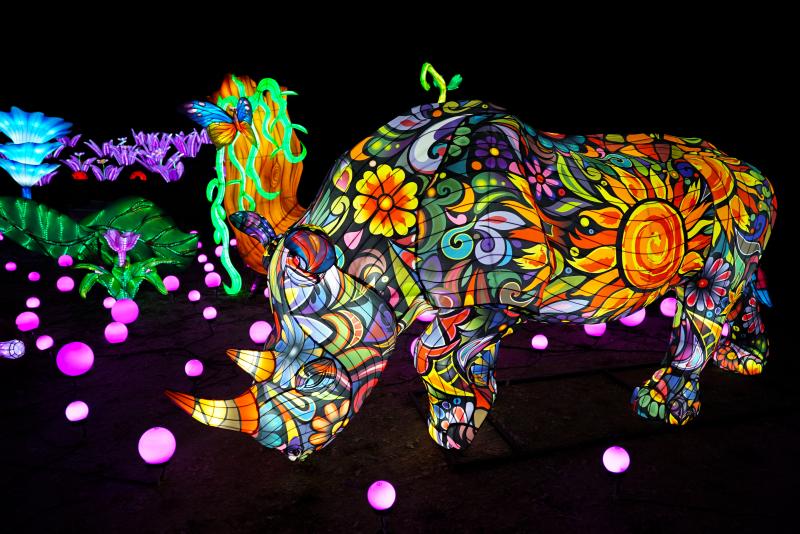 festival luminescence