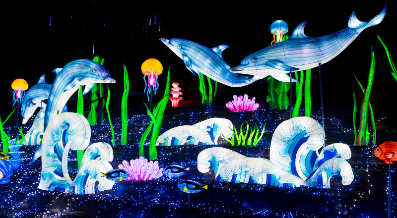 Luminescences 2022