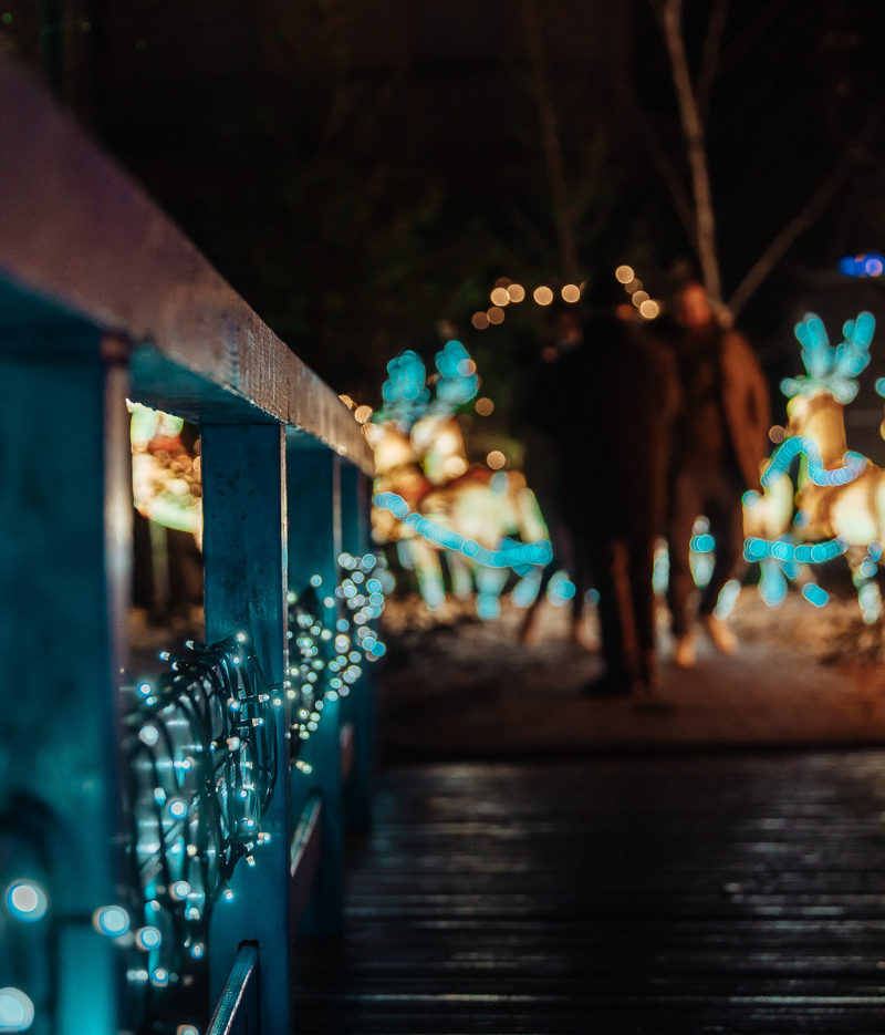Noël à Bitche