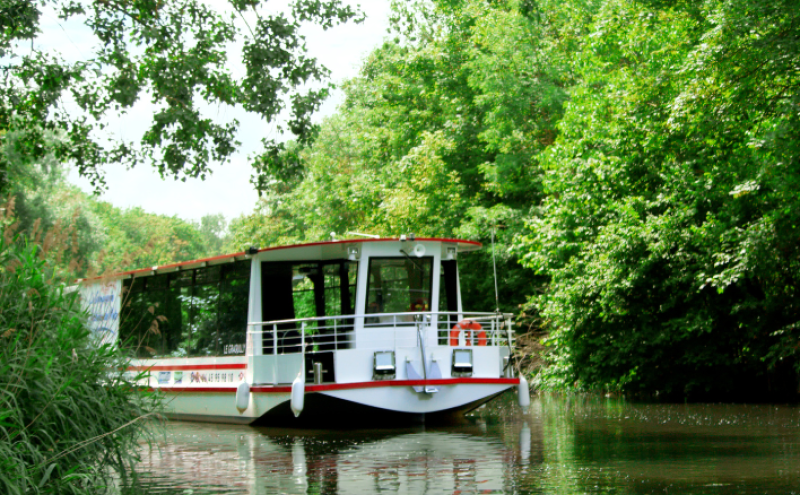 Compagnie des bateaux de Metz
