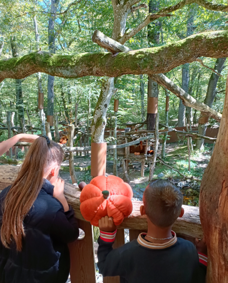 Parc animalier de Sainte-Croix