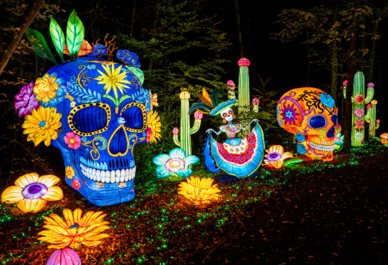Luminescences au Zoo d'Amnéville