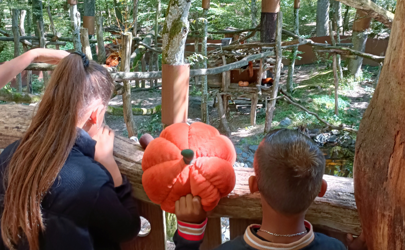 Parc animalier de Sainte-Croix