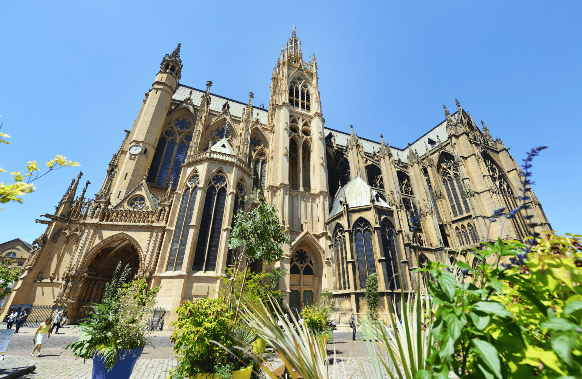 Cathédrale fleurs © Philippe Gisselbrecht