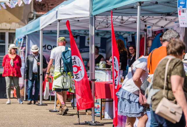 Fête des Vins - Vic sur Seille