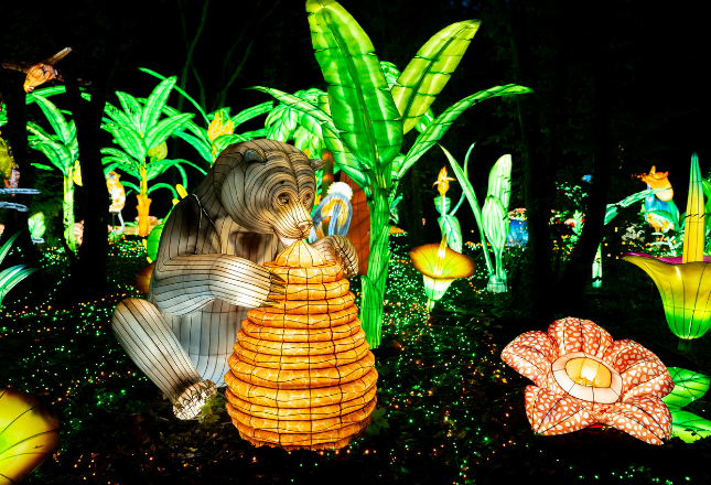 Luminescences 2024