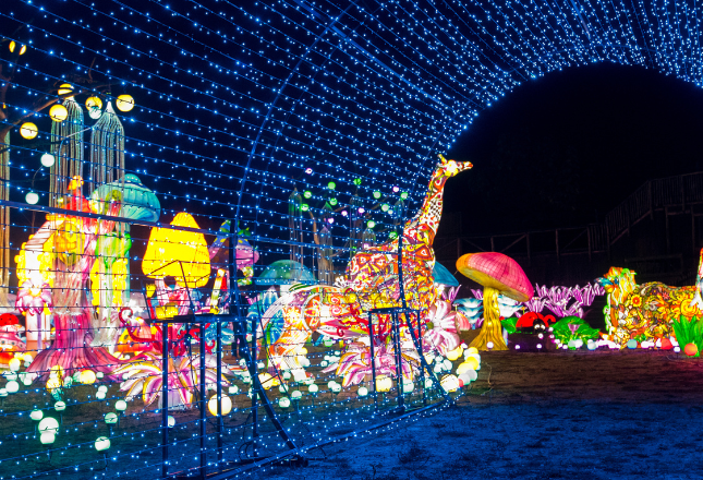 Festival Luminescences Amnéville
