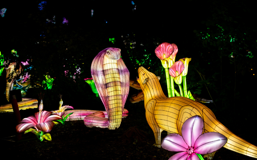Luminescences 2024