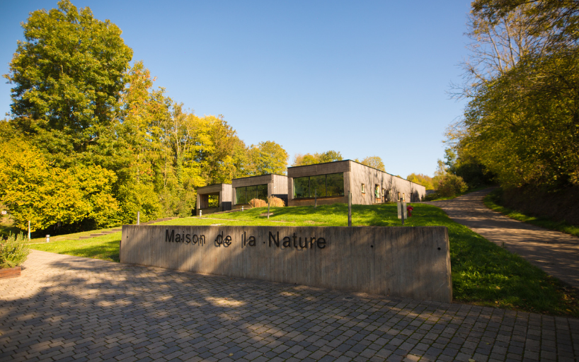 Reserve de montenach