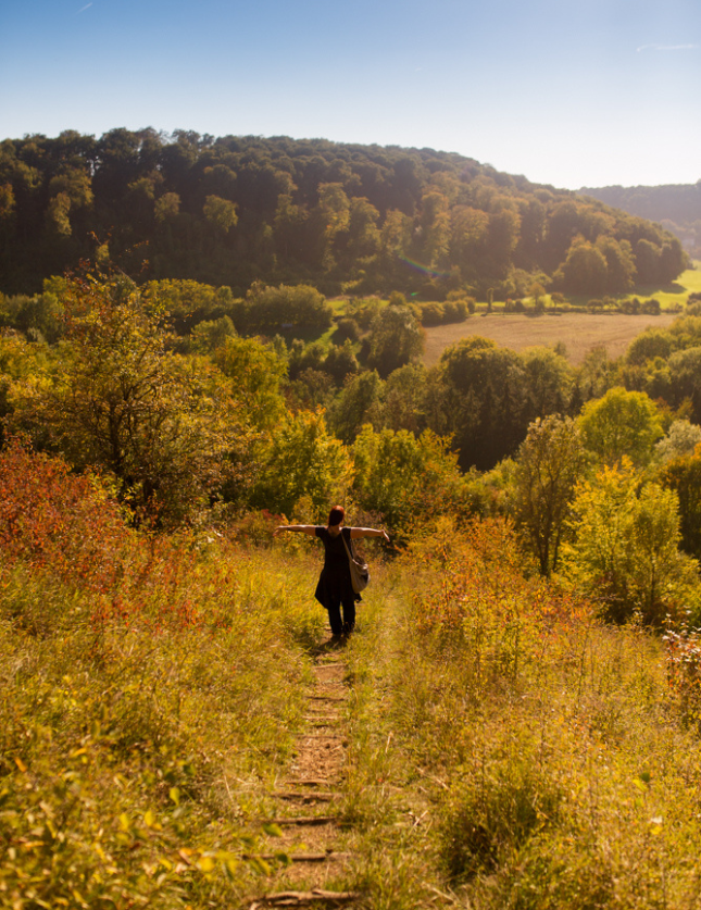 Reserve de montenach