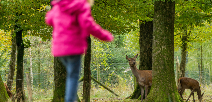 Parc animalier St croix-Morgane Bricard