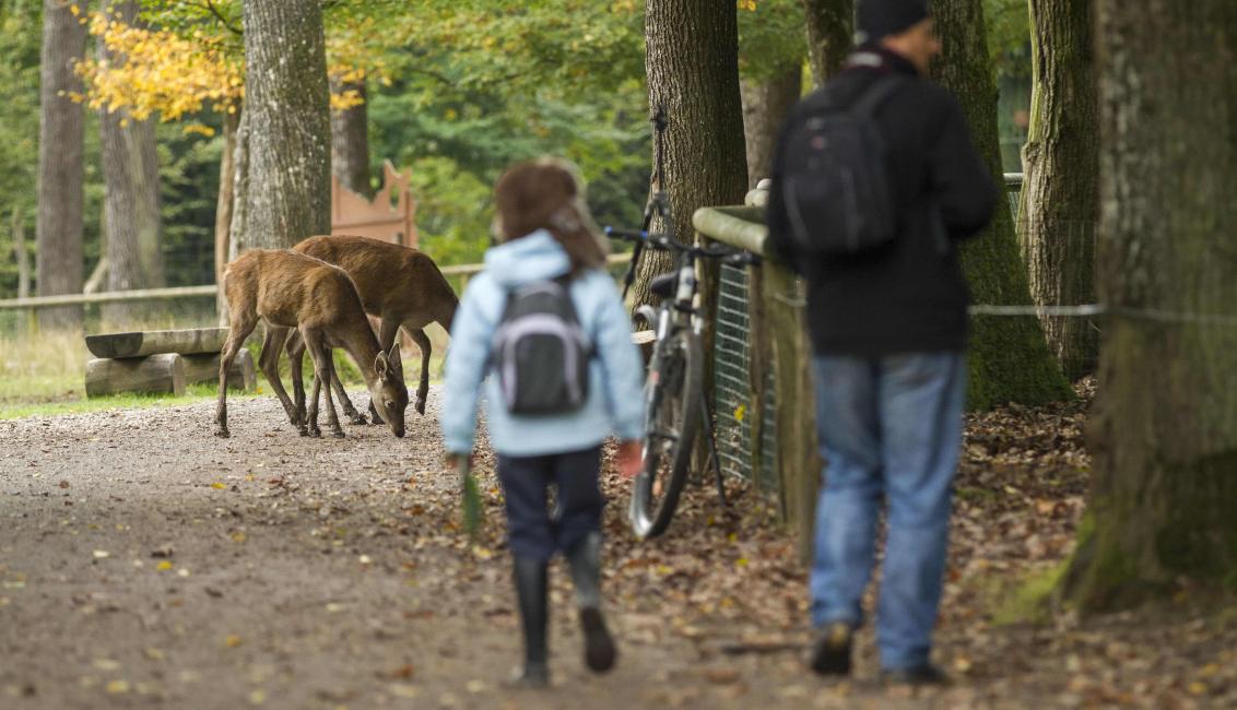 Parc Animalier de Sainte-Croix