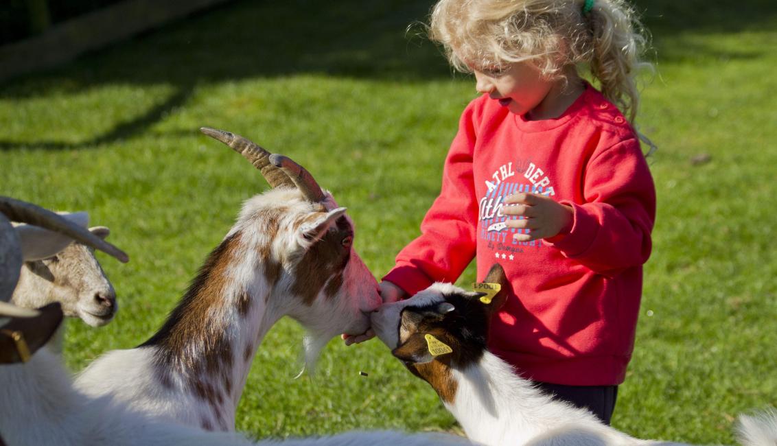 Parc Animalier de Sainte-Croix