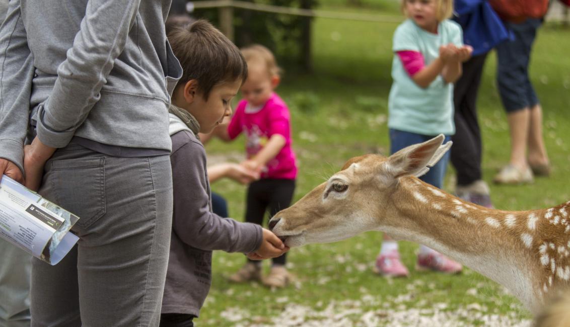 Parc Animalier de Sainte-Croix