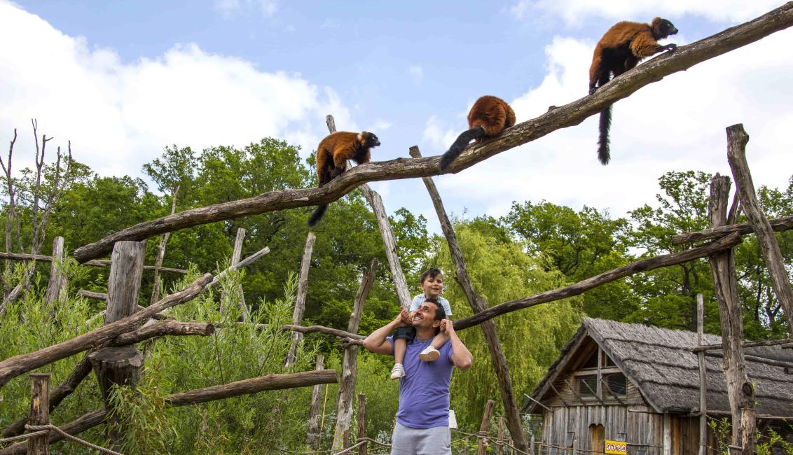 Parc Animalier de Sainte-Croix